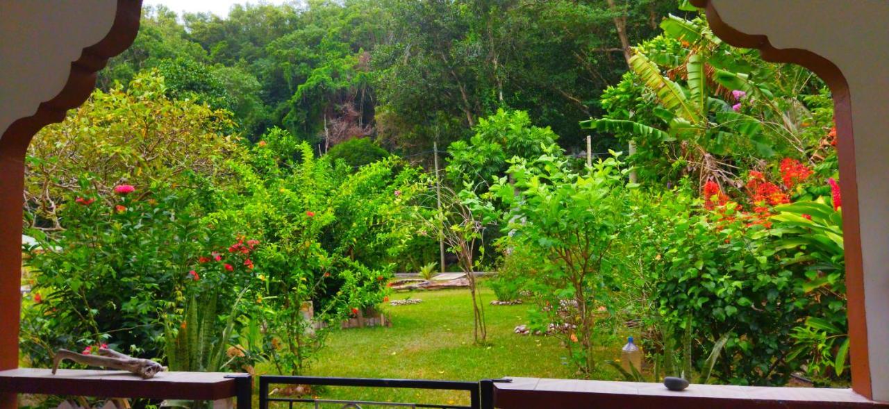 Dan Zoranz Self Catering Guest House Isola di Isola di La Digue Esterno foto