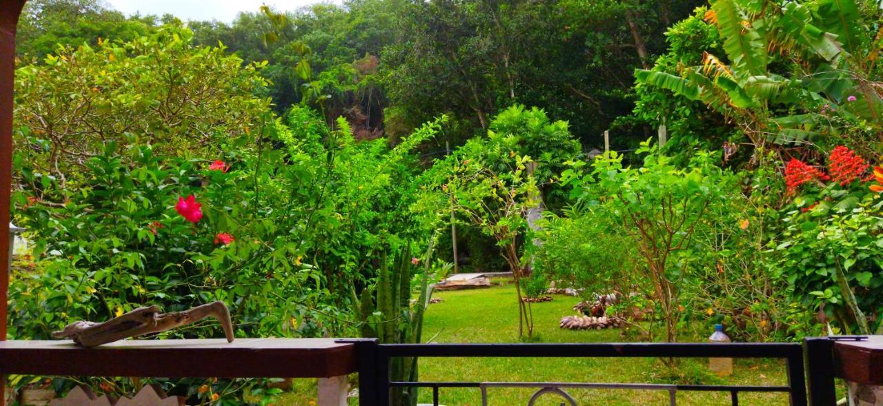 Dan Zoranz Self Catering Guest House Isola di Isola di La Digue Esterno foto
