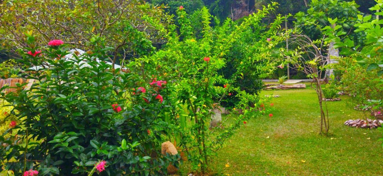 Dan Zoranz Self Catering Guest House Isola di Isola di La Digue Esterno foto