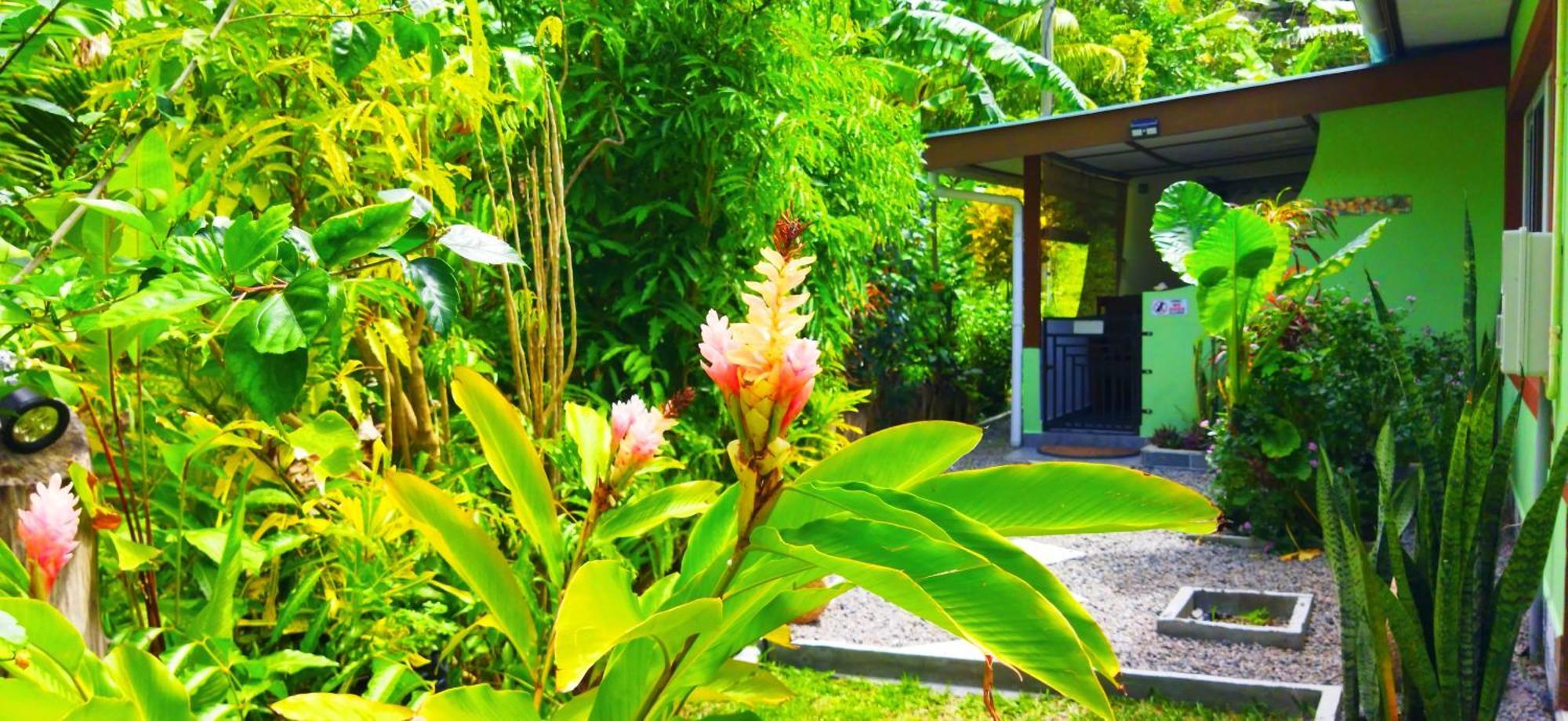 Dan Zoranz Self Catering Guest House Isola di Isola di La Digue Esterno foto