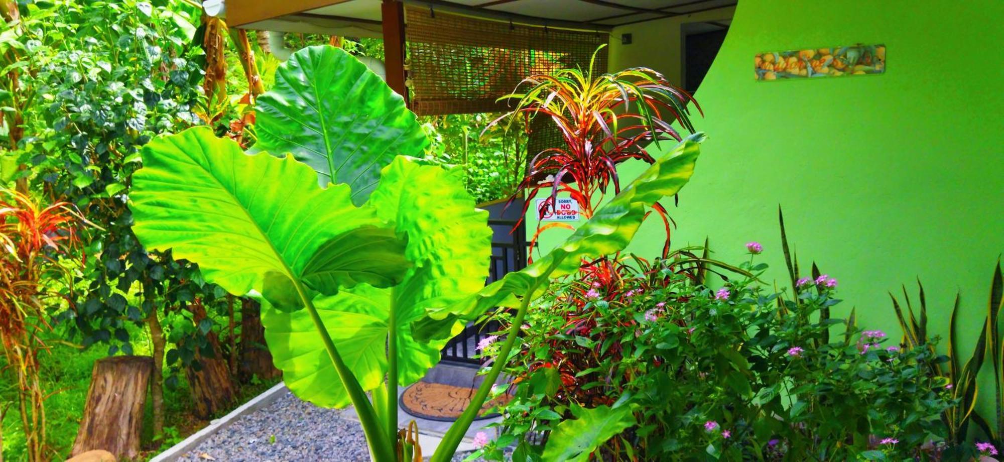 Dan Zoranz Self Catering Guest House Isola di Isola di La Digue Esterno foto